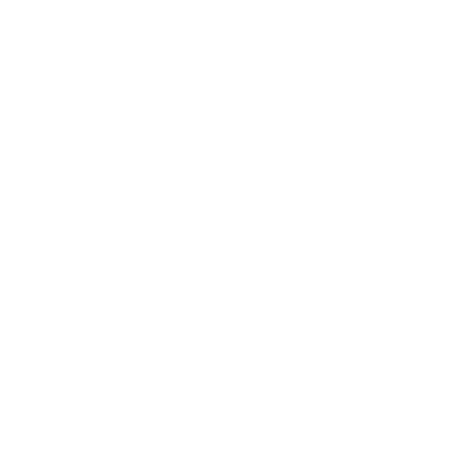 shield JR Loft Boarding shield icon